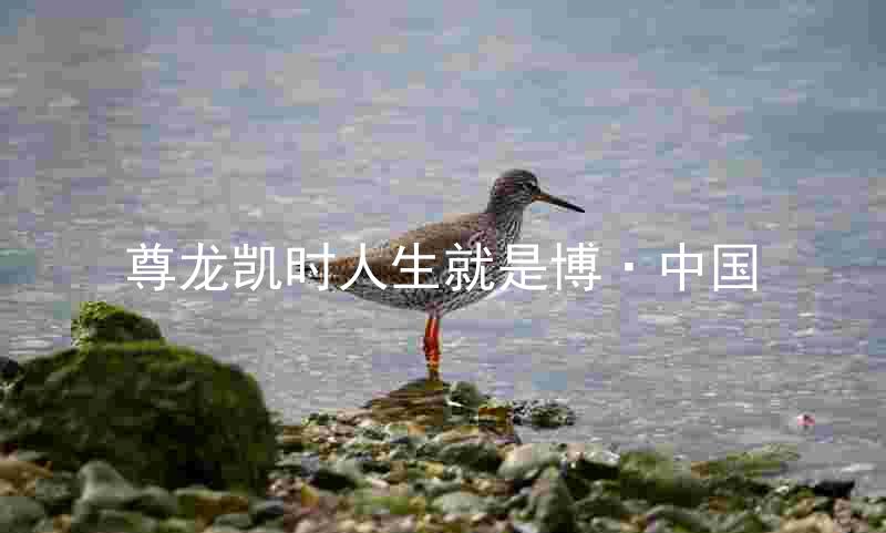 尊龙凯时人生就是博·中国