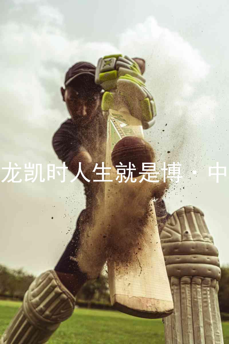 尊龙凯时人生就是博·中国