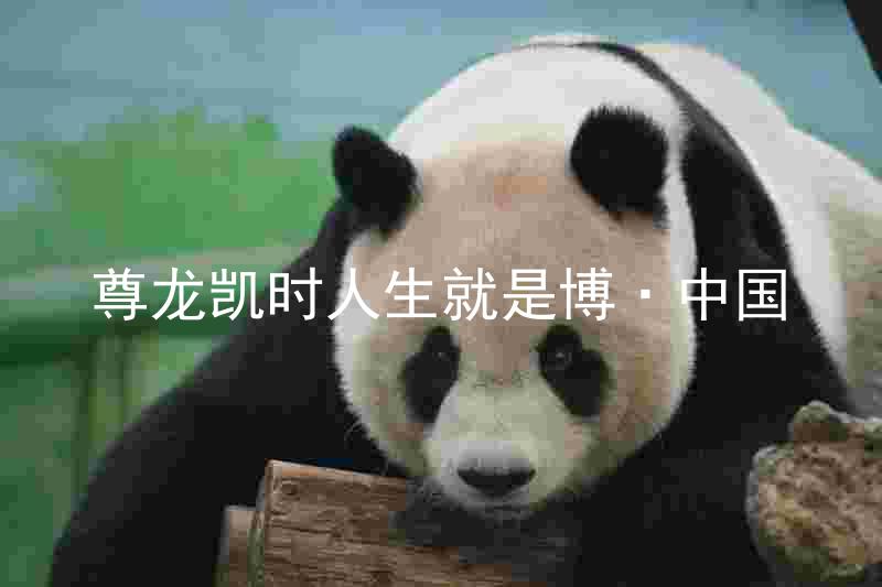 尊龙凯时人生就是博·中国