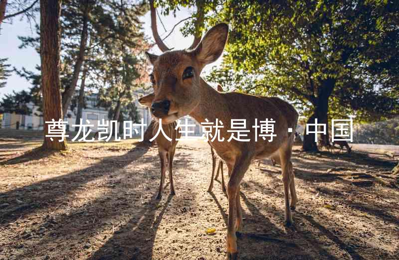 尊龙凯时人生就是博·中国