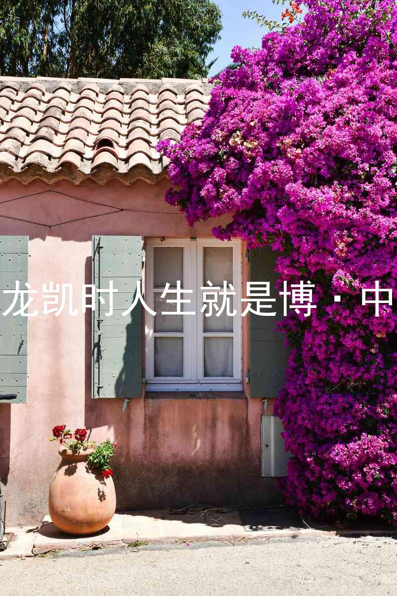 尊龙凯时人生就是博·中国