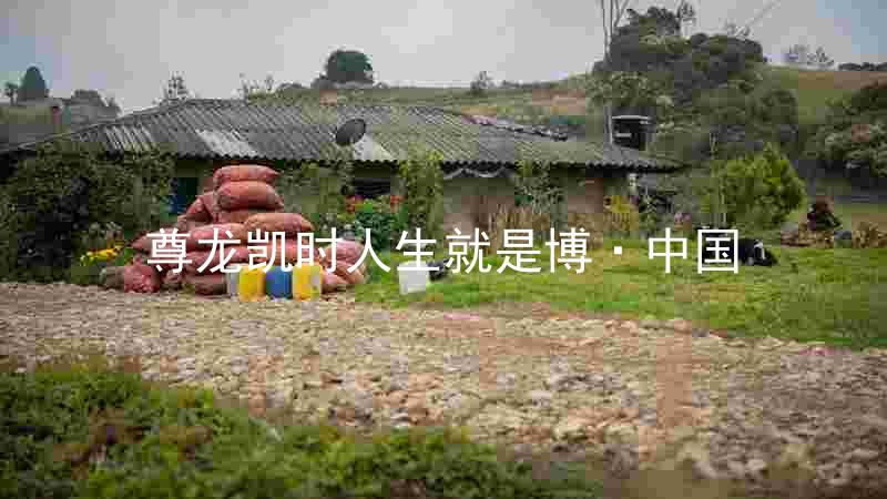 尊龙凯时人生就是博·中国