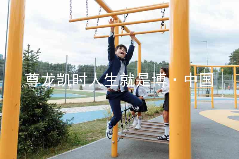 尊龙凯时人生就是博·中国